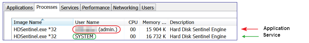 HDS Task Manager service plus application (processes).png