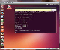 Hard Disk Sentinel launcher on Gnome