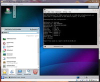 Hard Disk Sentinel launcher on KDE