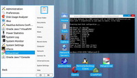 Hard Disk Sentinel launcher on XTERM